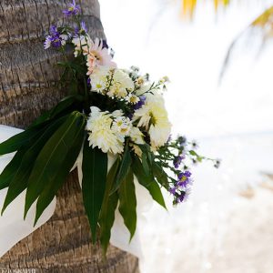 Shannon and Armand Private Island Wedding