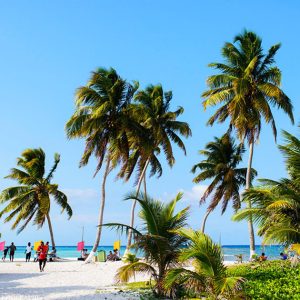 Shannon and Armand Private Island Wedding