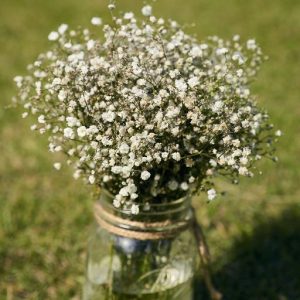 Sabrina and Brent Jungle Wedding