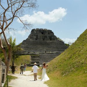 Michelle and Jason Jungle Wedding