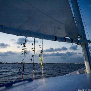 Allison and John Sailboat Wedding