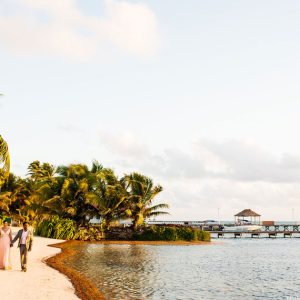 Nimisha and Aaron Multi-Cultural Wedding