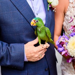 Emily and Spence Sandhill Belize Wedding