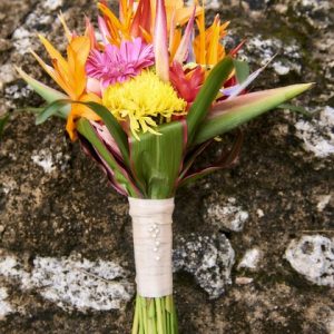 Heather and Greg Mayan Temple Wedding