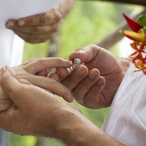 Terri and Patrick Rain Forest Wedding