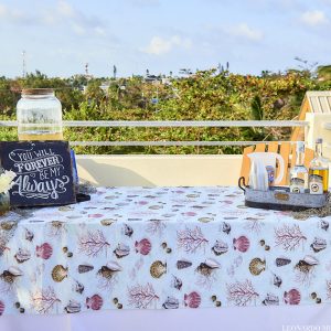 Megan and Justin Oceanview Wedding