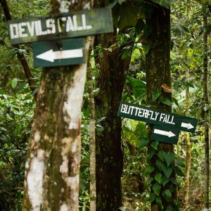 Tanya and Carlos Waterfall Wedding