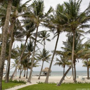 Tracy and Michael Sandbar Wedding