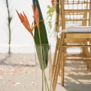 Danielle and Jon Caye Caulker Wedding