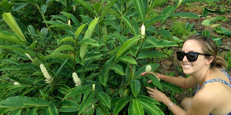 Belize Wedding Flowers