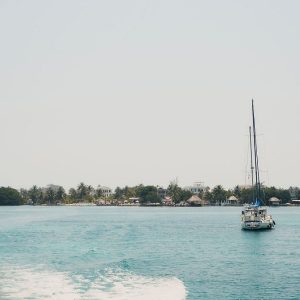 Lindsay and John Jungle and Beach Wedding