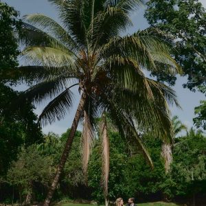 Sadie and Jeff Rainforest and Beach wedding